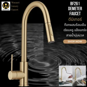 ก๊อกน้ำอ่างล้างจานสแตนเลสติดเคาน์เตอร์หัว2ทางดึงสายได้