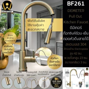 ก๊อกซิงค์ล้างจานถอดหัวดึงสายได้กรองน้ำดื่มสีทอง Golden Pull-Out Kitchen Faucet with Water Filter