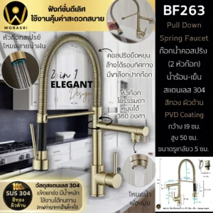 ก๊อกซิงค์ล้างจานถอดหัวดึงสายได้กรองน้ำดื่มสีทอง Golden Pull-Out Kitchen Faucet with Water Filter