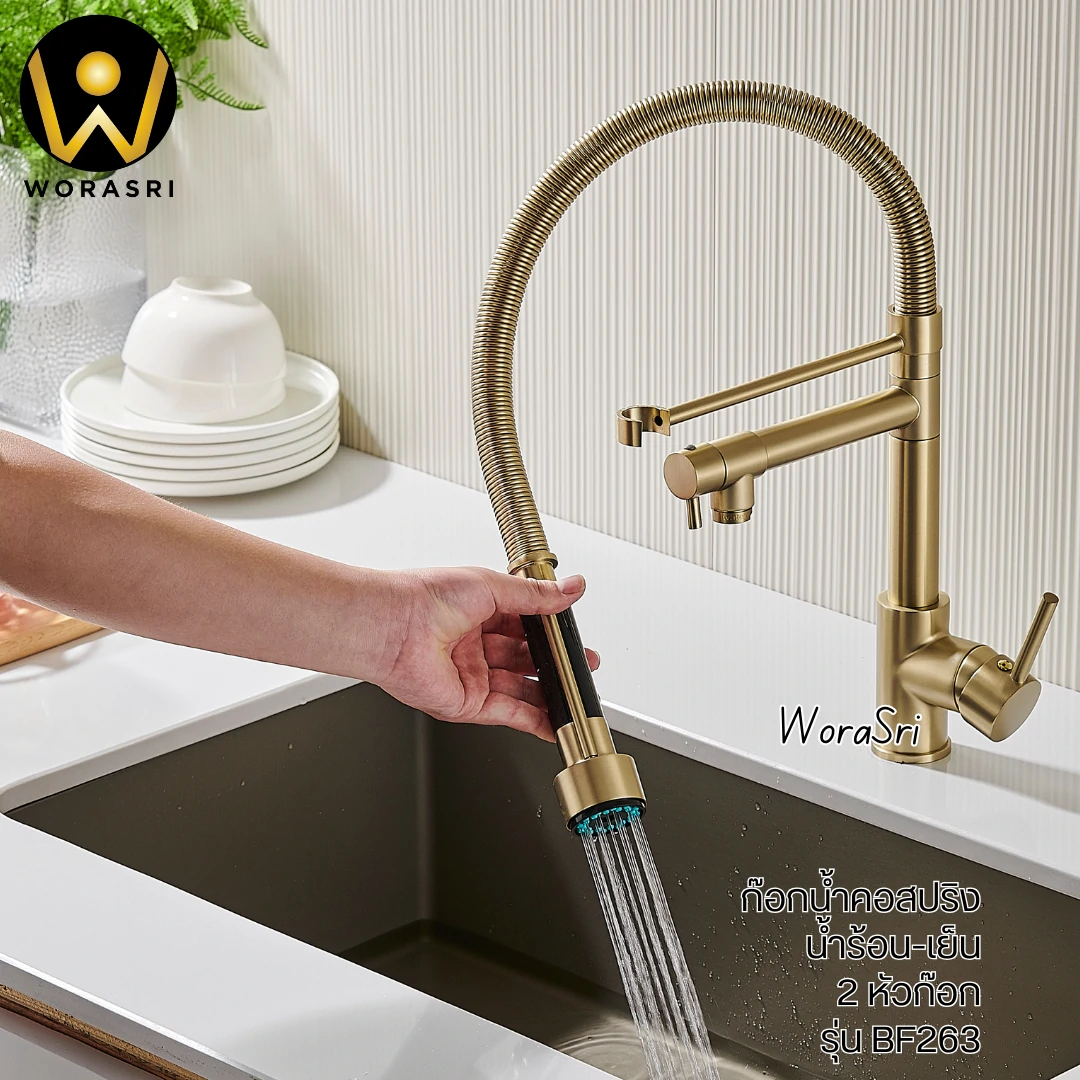 ก๊อกซิงค์ล้างจานถอดหัวดึงสายได้กรองน้ำดื่มสีทอง Golden Pull-Out Kitchen Faucet with Water Filter