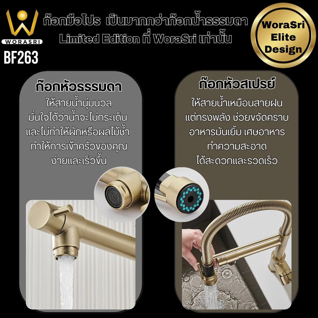 ก๊อกซิงค์ล้างจานถอดหัวดึงสายได้กรองน้ำดื่มสีทอง Golden Pull-Out Kitchen Faucet with Water Filter