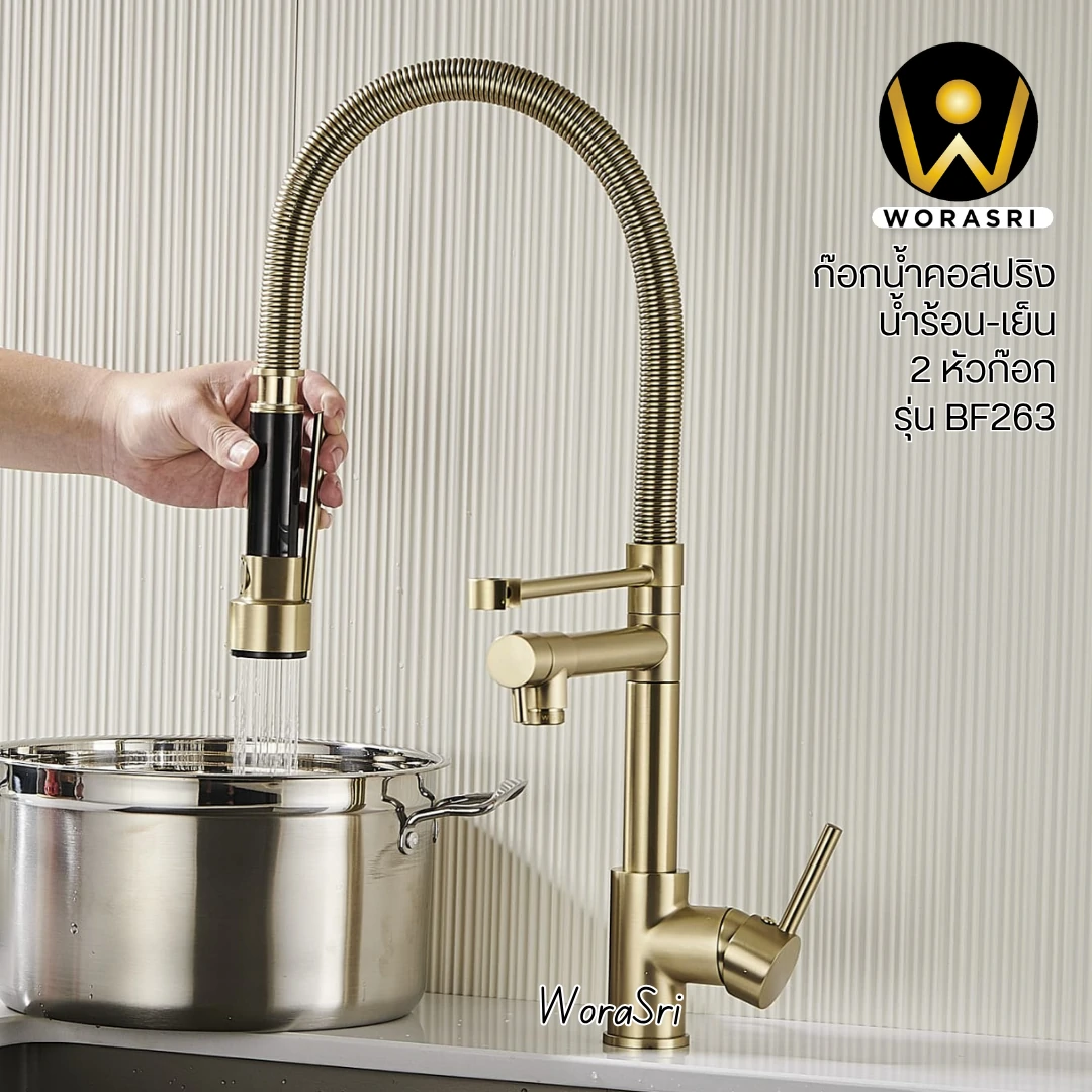 ก๊อกซิงค์ล้างจานถอดหัวดึงสายได้กรองน้ำดื่มสีทอง Golden Pull-Out Kitchen Faucet with Water Filter