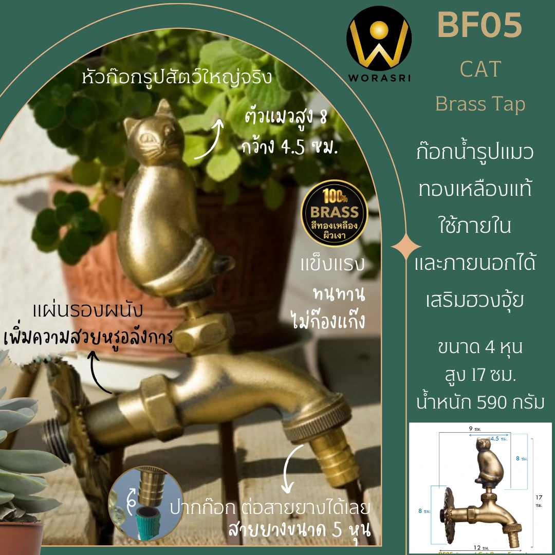 ก๊อกน้ำเดี่ยวทองเหลืองล้างพื้นสนามในสวนหน้าบ้านติดผนังรูปแมว