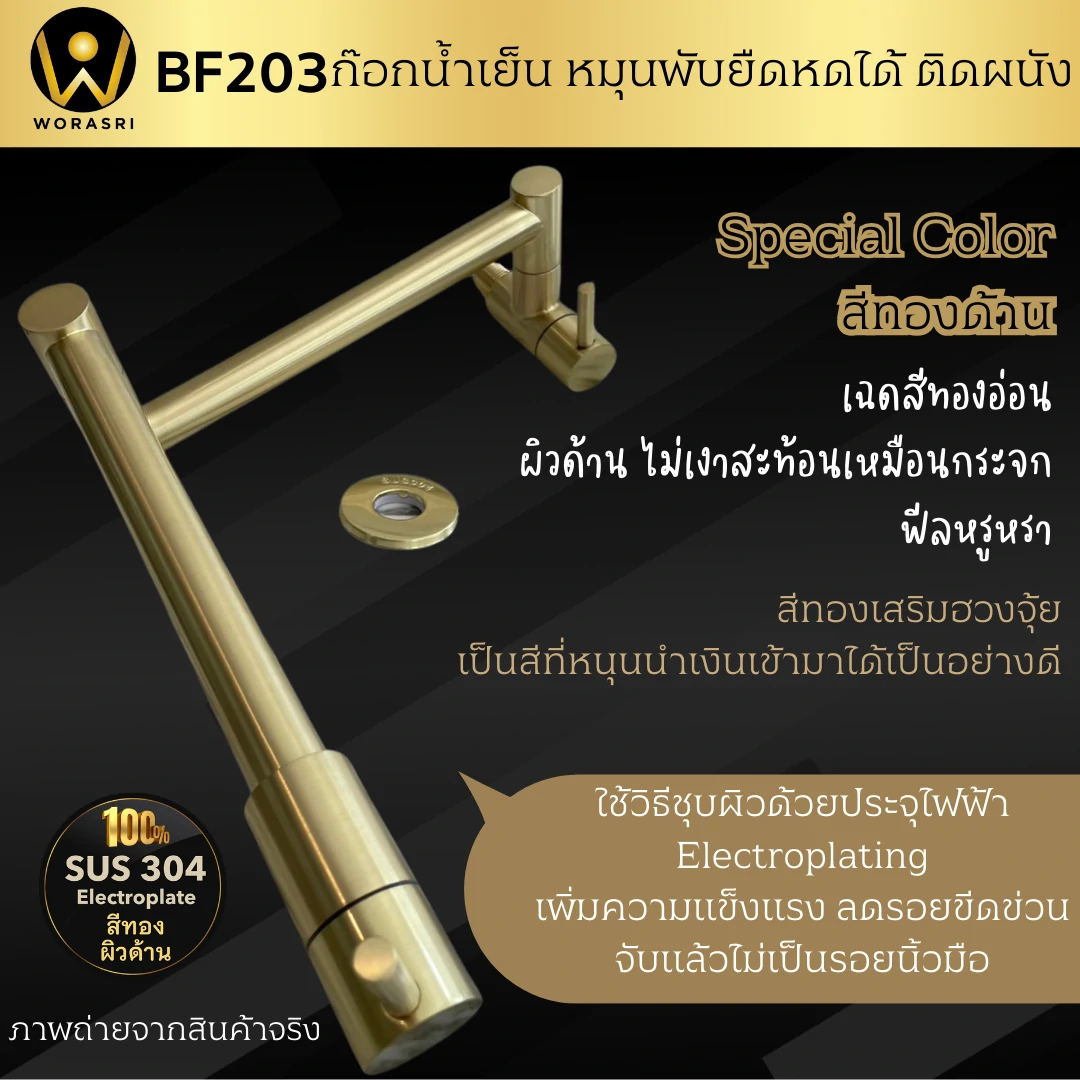 ก๊อกซิงค์ล้างจานถอดหัวดึงสายได้กรองน้ำดื่มสีทอง Golden Pull-Out Kitchen Faucet with Water Filter