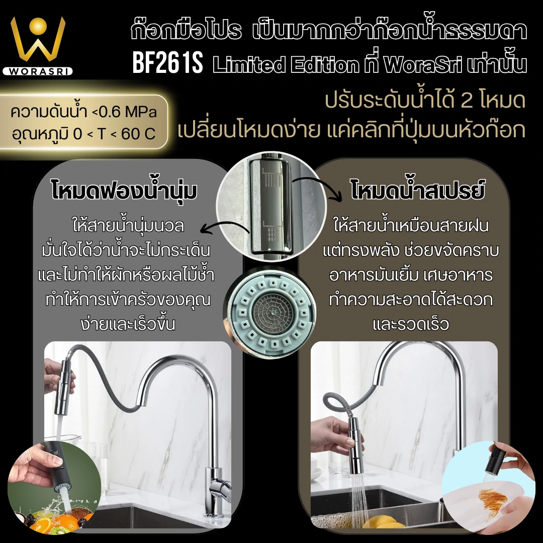 ก๊อกซิงค์ล้างจานถอดหัวดึงสายได้กรองน้ำดื่มสีทอง Golden Pull-Out Kitchen Faucet with Water Filter