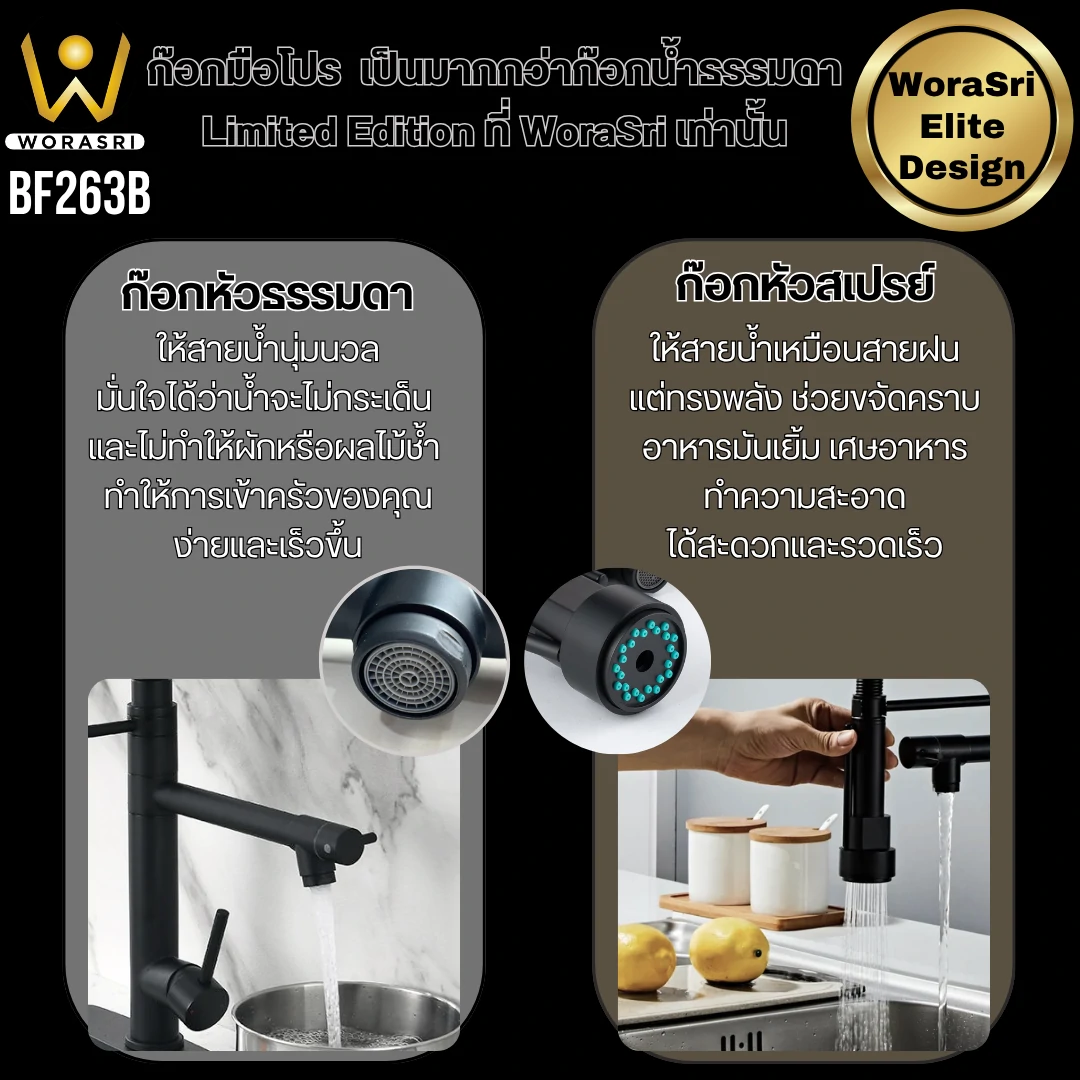 ก๊อกซิงค์ล้างจานถอดหัวดึงสายได้กรองน้ำดื่มสีทอง Golden Pull-Out Kitchen Faucet with Water Filter