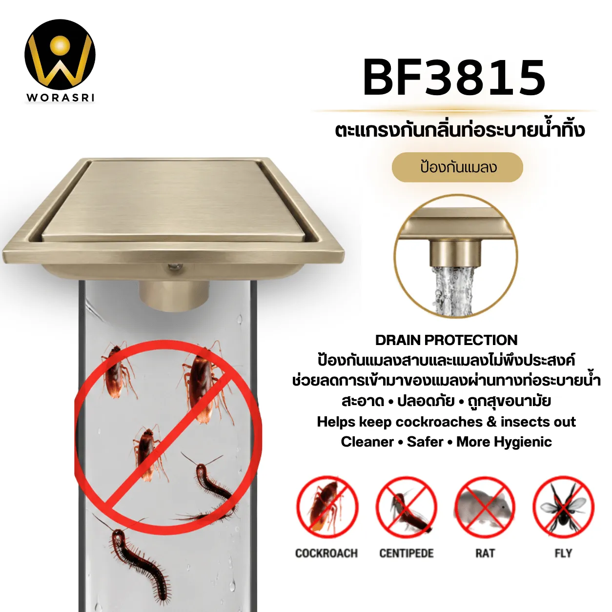 BF3815ตะแกรงกันกลิ่นท่อระบายน้ำทิ้ง สแตนเลส 304 สีทองผิวด้าน - Image 5